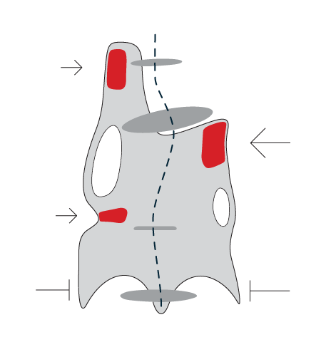 Brace library reference image 3